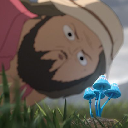 Michael finds the Mushroom